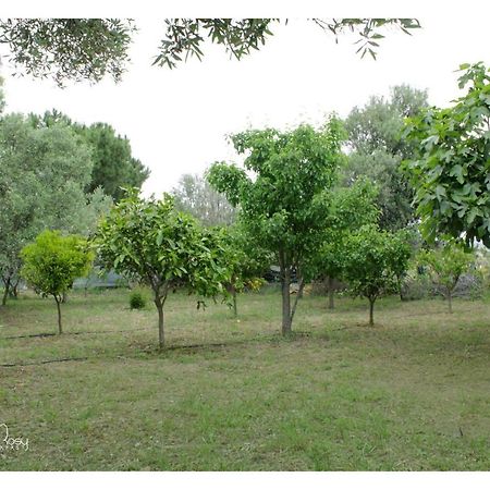Su FortiIl Giardino Di Rosy别墅 外观 照片